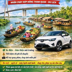 🔥 DỊCH VỤ DU LỊCH TƯỜNG LAM