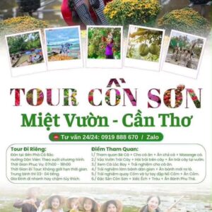 Tour Cồn Sơn